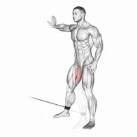 Internal Adductor at Low Pulley