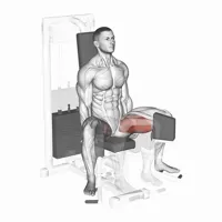 Internal Adductor in Machine