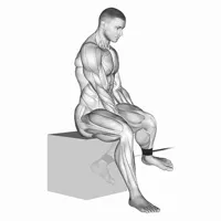 Internal Hip Rotation with Band