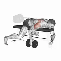Isolated Birds with Dumbbell