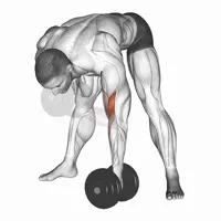 Isolated Downward Dumbbell Curl