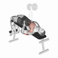 Isolated Dumbbell Decline Press
