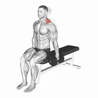 Isolated Dumbbell Shrug