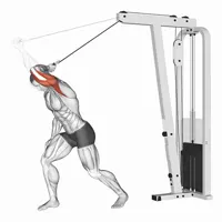 Isolated Front Extension on High Pulley