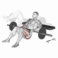 Isolated Hip thrust con barra