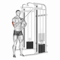 Isolated Lateral Extension in Supination on High Pulley