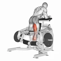 Isolated Leg Curl on Machine