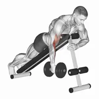 Isolated Neutral Curl Spider with Dumbbell