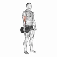 Isolated Neutral Dumbbell Curl