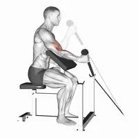 Isolated Neutral Scott Bench Curl with Pulley
