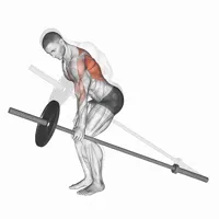 Isolated Oar with Bar