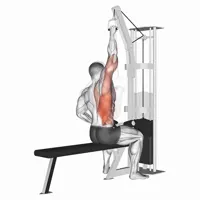 Isolated Prone Neutral Pulldown on High Pulley