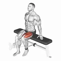 Isolated Quadriceps Extension with Band