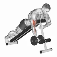 Isolated Spider Curl in Supination with Dumbbell