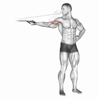 Isolated Supination Curl with Band