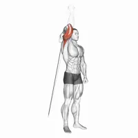Isolated Vertical Extension in Pronation on Low Pulley
