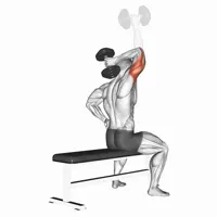 Isolated Vertical Extension with Dumbbell