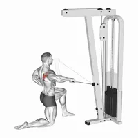 Isolated Vertical Rotation on a Pulley