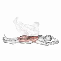 Abdominal navaja
