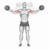 Lateral Curl with Dumbbells