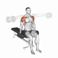 Lateral and Frontal High Raises with Dumbbells