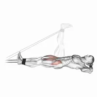 Leg Raises with Bands