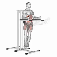 Leg raises with twist on support