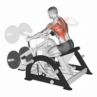 Neutral Horizontal Machine Row
