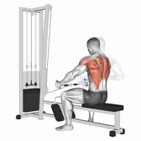Neutral Horizontal Pulley Row