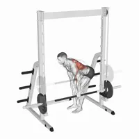 Neutral Isolated Rowing on Smith Machine