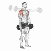 Neutral Lateral Raises with Dumbbells