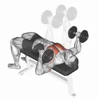 Neutral Open Dumbbell Press