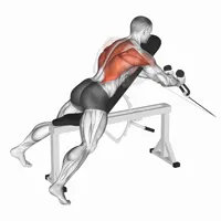 Neutral Pronated Decline Row on Pulley