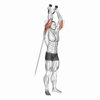 Neutral Vertical Extension on Low Pulley