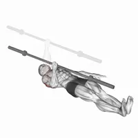 One Arm Barbell Press