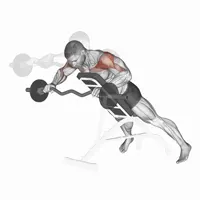 Open Decline Front Raise with Z Bar