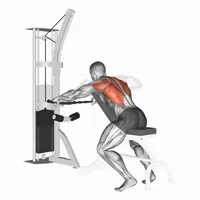 Open Pronated Decline Row on Pulley