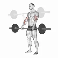 Open Pronation Curl with Barbell
