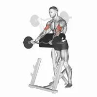 Open Supinated Curl on Scott Bench with Z Bar