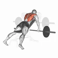 Pronated Bent Over Barbell Row