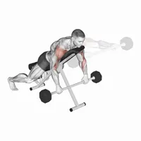 Pronated Decline Front Raise with Bar