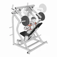 Pronated Decline Military Press on Machine