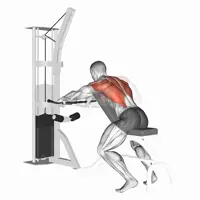 Pronated Decline Row on Pulley