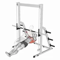 Pronated Hang Row
