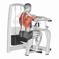 Pronated Horizontal Row on Machine
