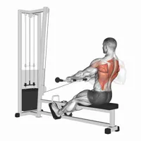 Pronated Horizontal Row on Pulley