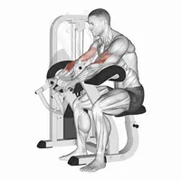 Pronation Curl on Scott Machine