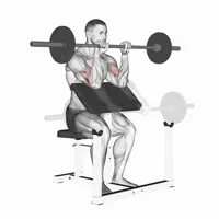 Pronation curl on Scott bench with barbell