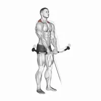 Pulley Shrugs
