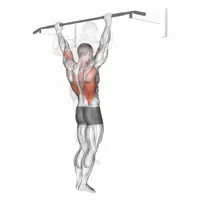 Rear Pull Up